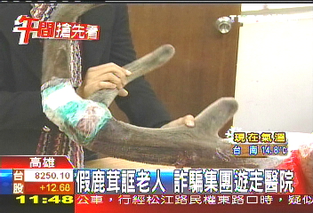 假鹿茸誆老人　詐騙集團遊走醫院