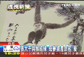 張大千與猴結緣 母夢猿產命名「爰」
