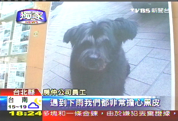 〈獨家〉忠犬小八台灣版 「黑皮」守屋等主