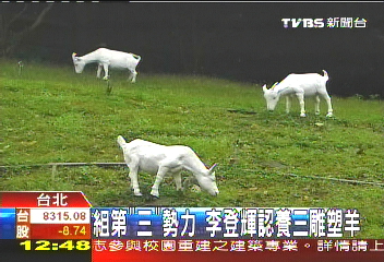 組第「三」勢力　李登輝認養3雕塑羊
