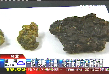 〈獨家〉一說「聰明」狂賣！　提升記憶力各有解讀