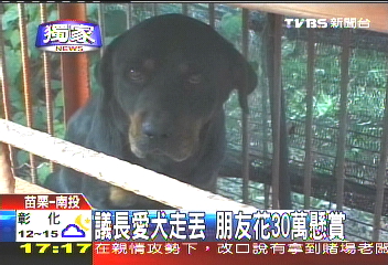 〈獨家〉議長愛犬走丟　朋友花30萬懸賞