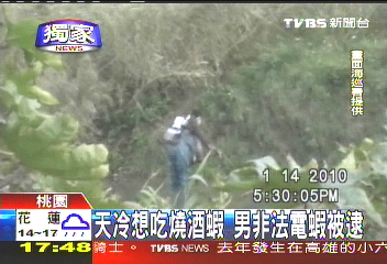 〈獨家〉天冷想吃燒酒蝦 男非法電蝦被逮