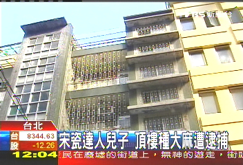 宋瓷達人兒子　頂樓種大麻遭逮捕