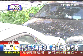 〈獨家〉爆漿茄冬果實砸車 導遊林龍要國賠