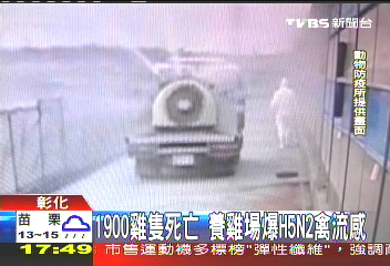 1900雞隻死亡 養雞場爆H5N2禽流感