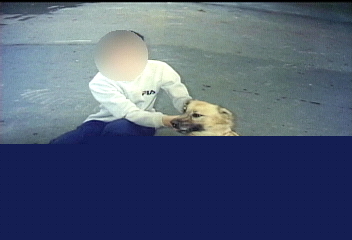 家犬遭虐殺逃竄　警以竊盜案受理