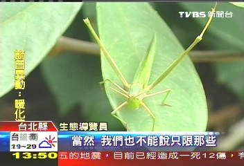 河川復育不易 永和溼地生態豐富