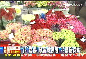 「花」費傷！應景虎頭蘭　花價抬2成