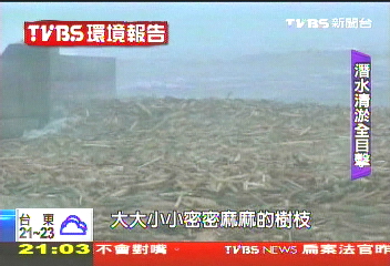 【TVBS環境報告】〈獨家〉清淤潛水撈木 TVBS獨家水底畫面