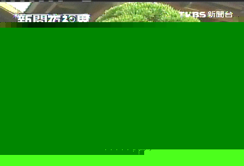 老樹收容所成園林　開創盆栽藝術