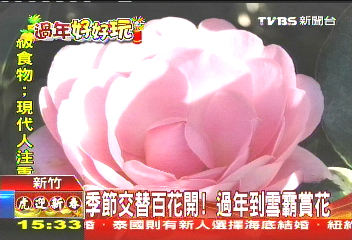 季節交替百花開！　過年到雪霸賞花
