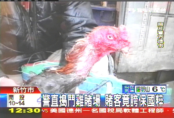 警直搗鬥雞賭場 賭客竟誇保國粹