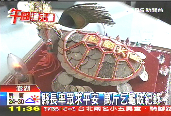 縣長率眾求平安　萬斤乞龜破紀錄