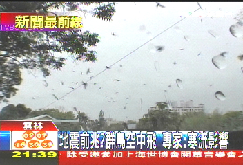 地震前兆？群鳥空中飛　專家：寒流影響