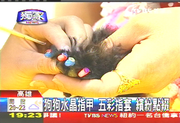 〈獨家〉狗狗水晶指甲 五彩指套、繽紛點綴
