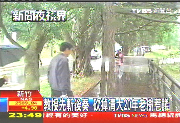 怕樹根絆倒人! 清大教授砍樹惹爭議