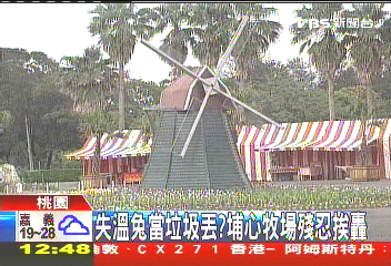 失溫兔當垃圾、拎腿扔　埔心牧場挨轟