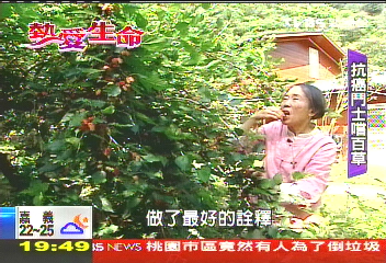 【熱愛生命】李秋涼抗癌有成　樂傳授「原味飲食」