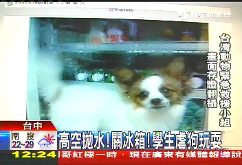 高空拋水、關冰箱! 學生虐狗玩耍