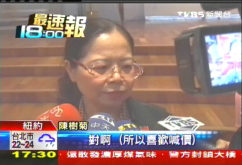 陳樹菊紐約觀光　面對專訪落落大方