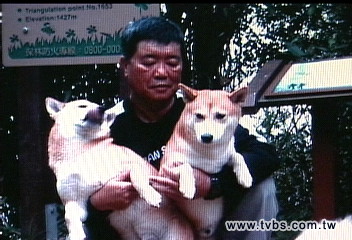 登山迷路柴犬相守! 獲救狗失蹤飼主急