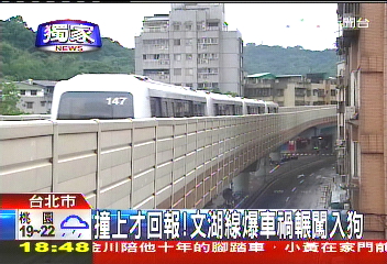 〈獨家〉文湖線出車禍！　野狗闖軌道遭輾斃
