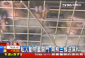 私人動物園關門 2熊3猴送屏科