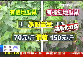 地瓜葉「紅」翻天! 醫學研究:多酚最多