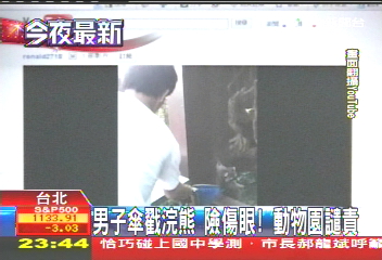 男子傘戳浣熊 險傷眼!動物園:強力譴責