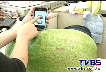 〈獨家〉西瓜甜不甜？敲三下　手機幫你挑