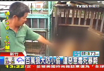 百萬狼犬防小偷 遭惡意毒死暴斃
