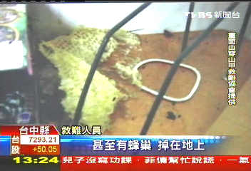 蜂窩築天花板 三合院流「蜂蜜雨」