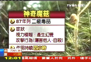 「魔菇」再現！　洪敏昌兒子非法持毒