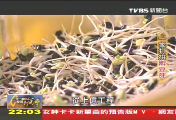 【一步一腳印】一家打拚孵豆芽 百壽有機芽菜農場
