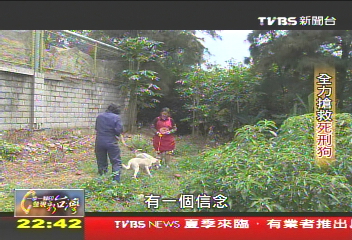 【一步一腳印】生命的可貴　全力搶救死刑狗
