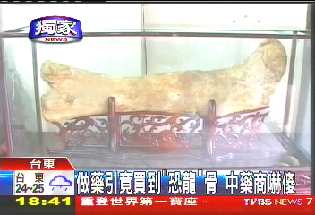 〈獨家〉做藥引竟買到「恐龍」骨 中藥商嚇傻
