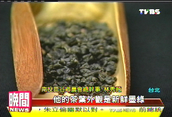 茶「業」博覽會　體驗南投茶葉產業魅力