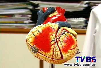 矮易心臟病! 芬蘭研究:風險高5成
