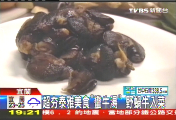 超「ㄏㄤ」泰雅美食「蠻牛湯」　野蝸牛入菜
