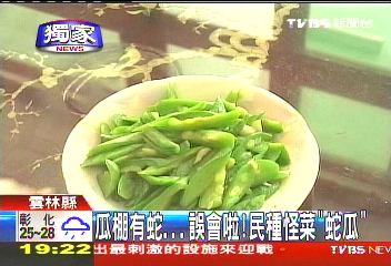 瓜棚有蛇？誤會啦！　民種怪菜「蛇瓜」