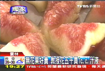 〈獨家〉無花果好貴　教授花五千買1C.C.汁液