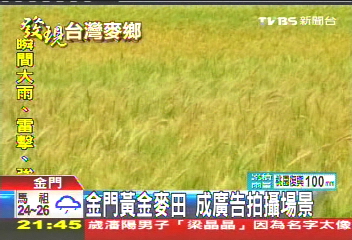 金門黃金麥田 成廣告拍攝場景