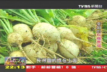 【一步一腳印】保護環境 李姐的有機農場