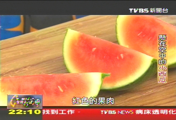 【一步一腳印】 懸在空中的小西瓜 顛覆傳統新創意