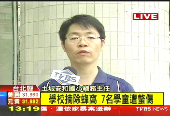 玩球打中蜂窩　7國小學童遭螫送醫