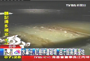 水筆仔、紅樹林遭破壞 油汙毀高美溼地