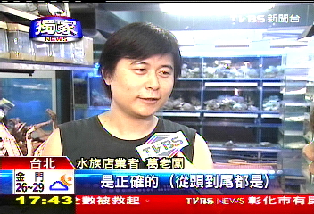 〈獨家〉行銷?辣妹露胸組魚缸 民眾:看多了