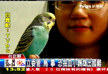 立委管「鳥」事 恐抽血!小鸚鵡出國難