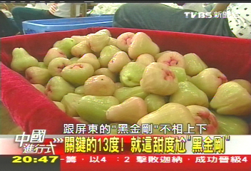 【中國進行式】關鍵的13度! 就這甜度尬「黑金剛」
